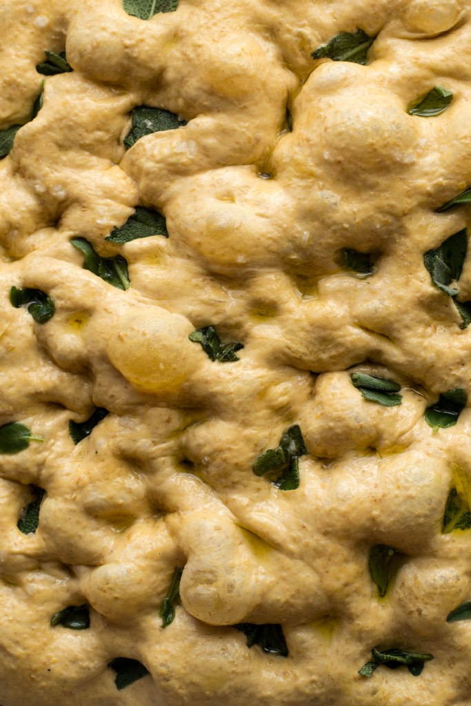 Delicious even when eaten on its own, this soft vegan pumpkin focaccia has a sweet finish and a pillowy texture, that may help this one to easily become one of your favourite recipes!